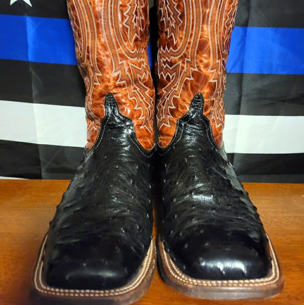 Anderson Bean black 11D ostrich